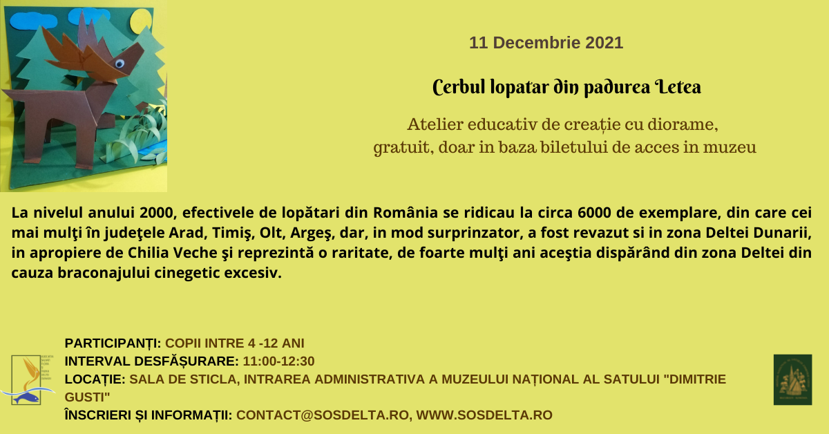Puiul de rata salbatica din Delta Dunarii