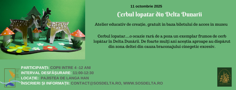 Case lipovenesti din Delta Dunarii