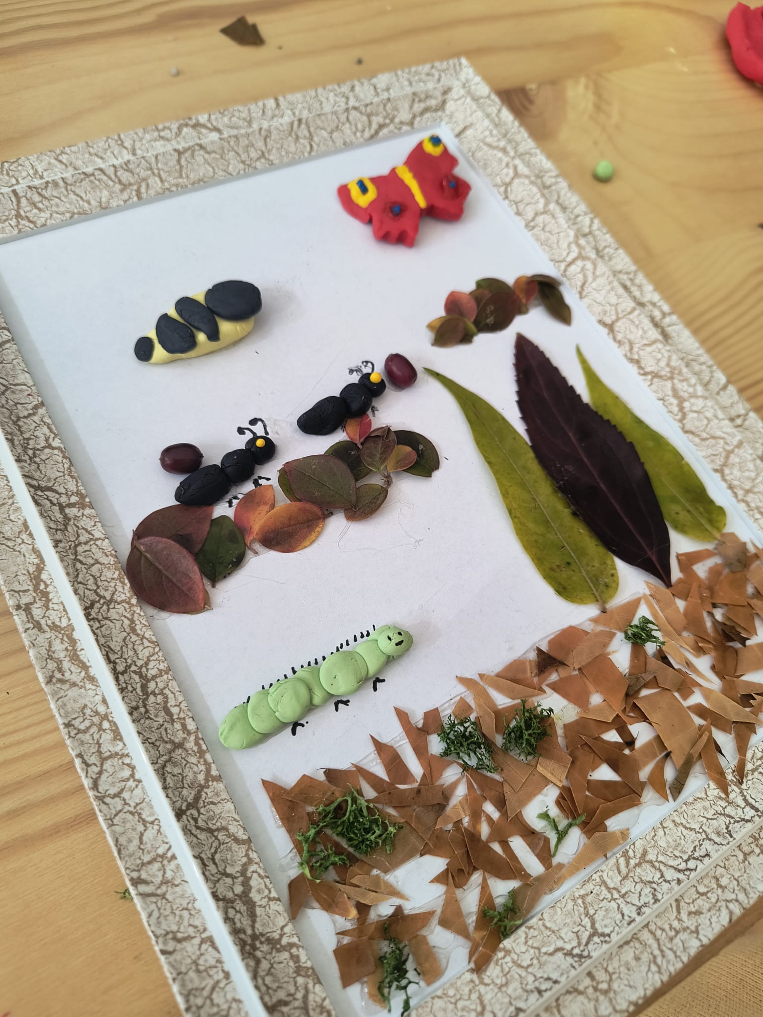 Foto atelier