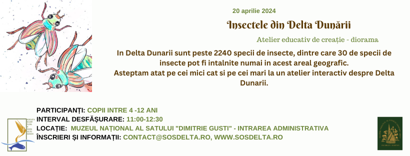 Coloritul pasarilor din Delta Dunarii