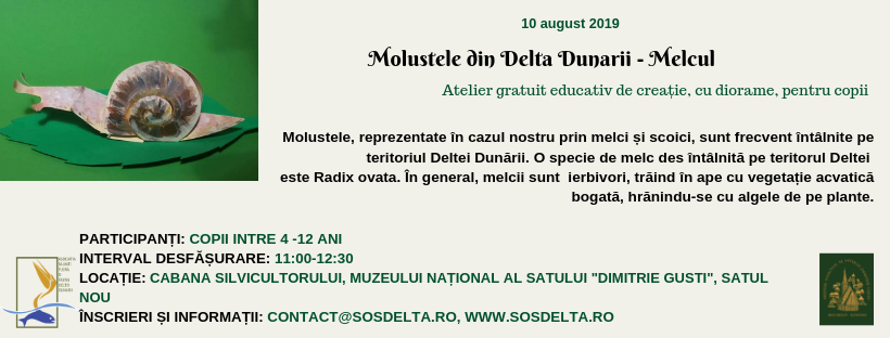 Broscuta verde din Delta Dunarii