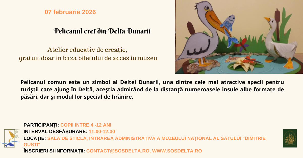 Pelicanul cret din Delta Dunarii