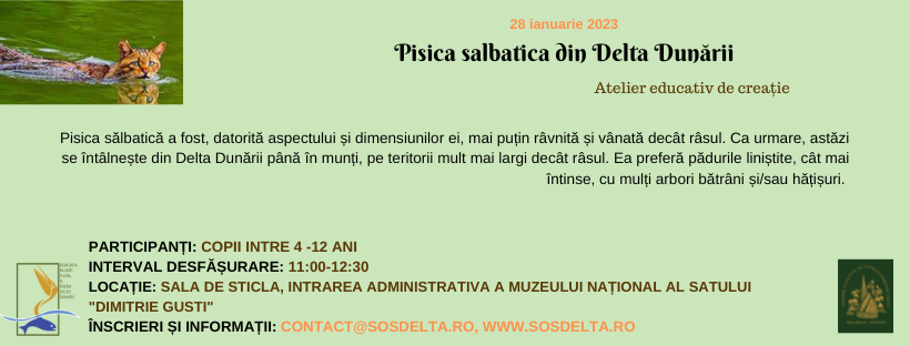 Broscuta din Delta Dunarii