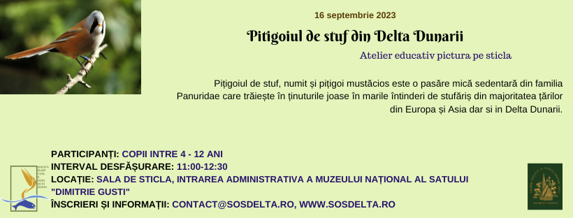 Pitigoiul din Delta Dunarii
