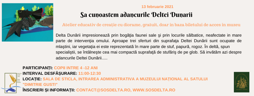 Veverita, acrobatul padurilor