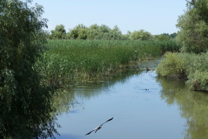 Primavara — anotimpul ideal pentru a vizita Delta Dunarii